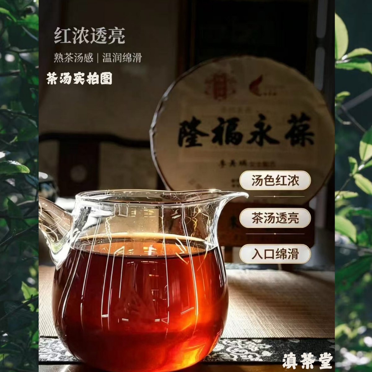 隆福永葆李美瑛配方普洱熟茶詳情圖5