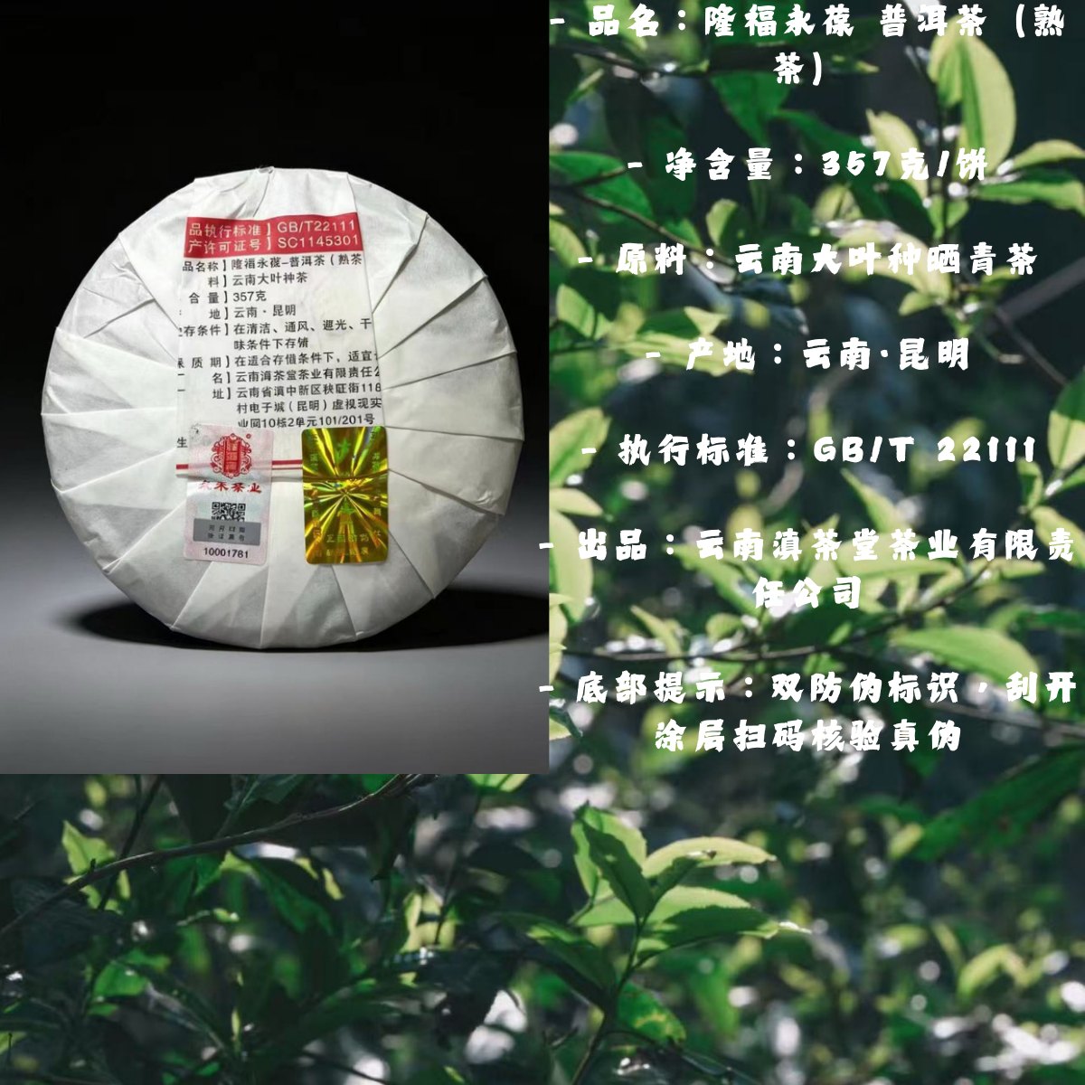 隆福永葆李美瑛配方普洱熟茶詳情圖7
