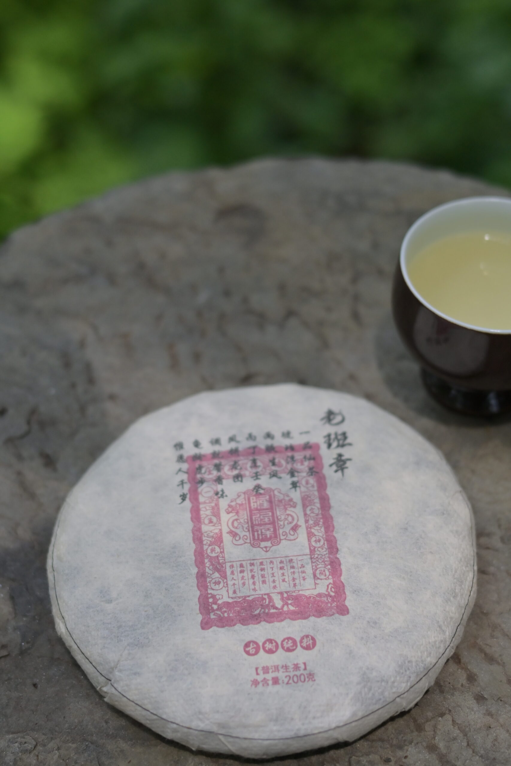 勐臘貢古樹純料普洱生茶茶餅與茶湯