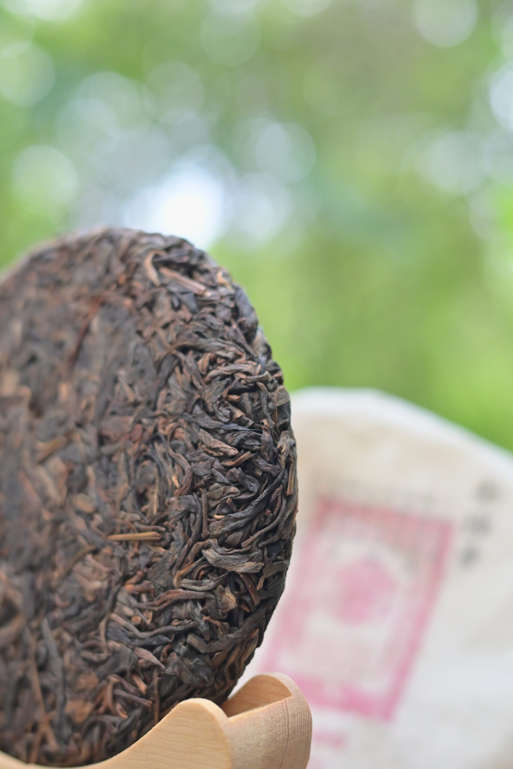 勐臘貢古樹純料普洱生茶乾茶條索細節